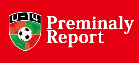 Preminary Report